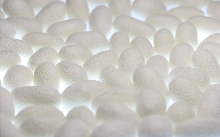 会社概要 松村株式会社